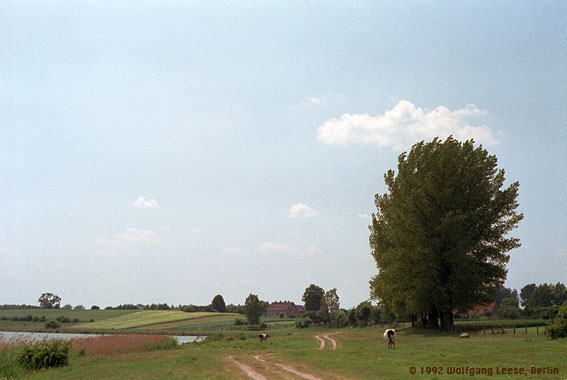 Blick vom Ziethensee auf Marienwerder