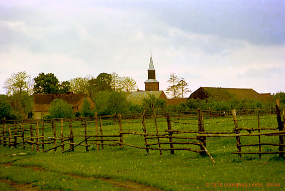 Blick vom Seeufer auf Marienwerder