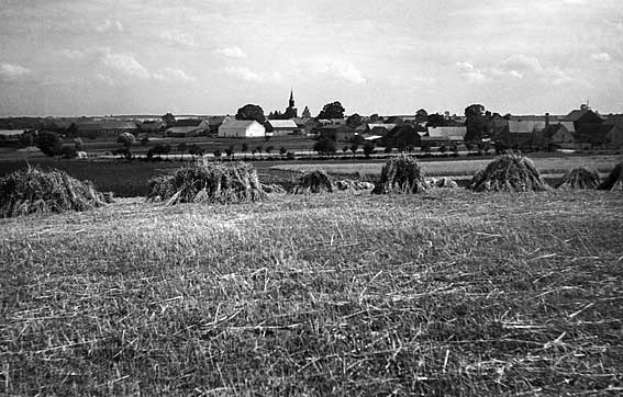 Marienwerder vor 1945, Blick vom Wiesenberg